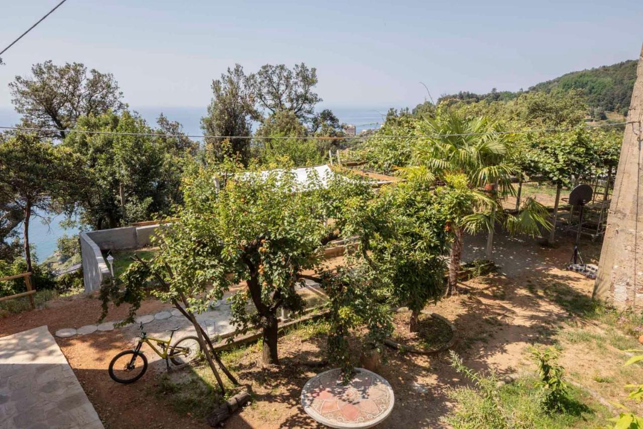 La Brigna Il Bosco Sul Mare Bed and breakfast