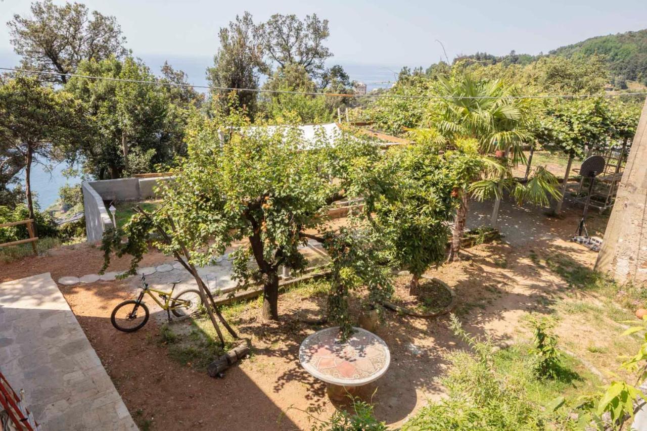 La Brigna Il Bosco Sul Mare Bed and breakfast *