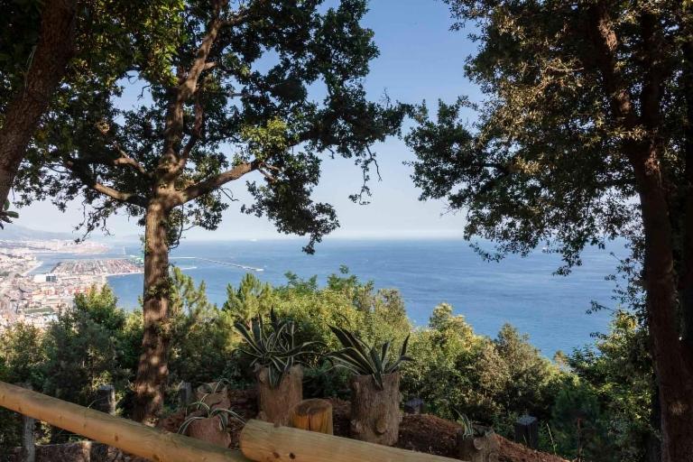 La Brigna Il Bosco Sul Mare Bed and breakfast
